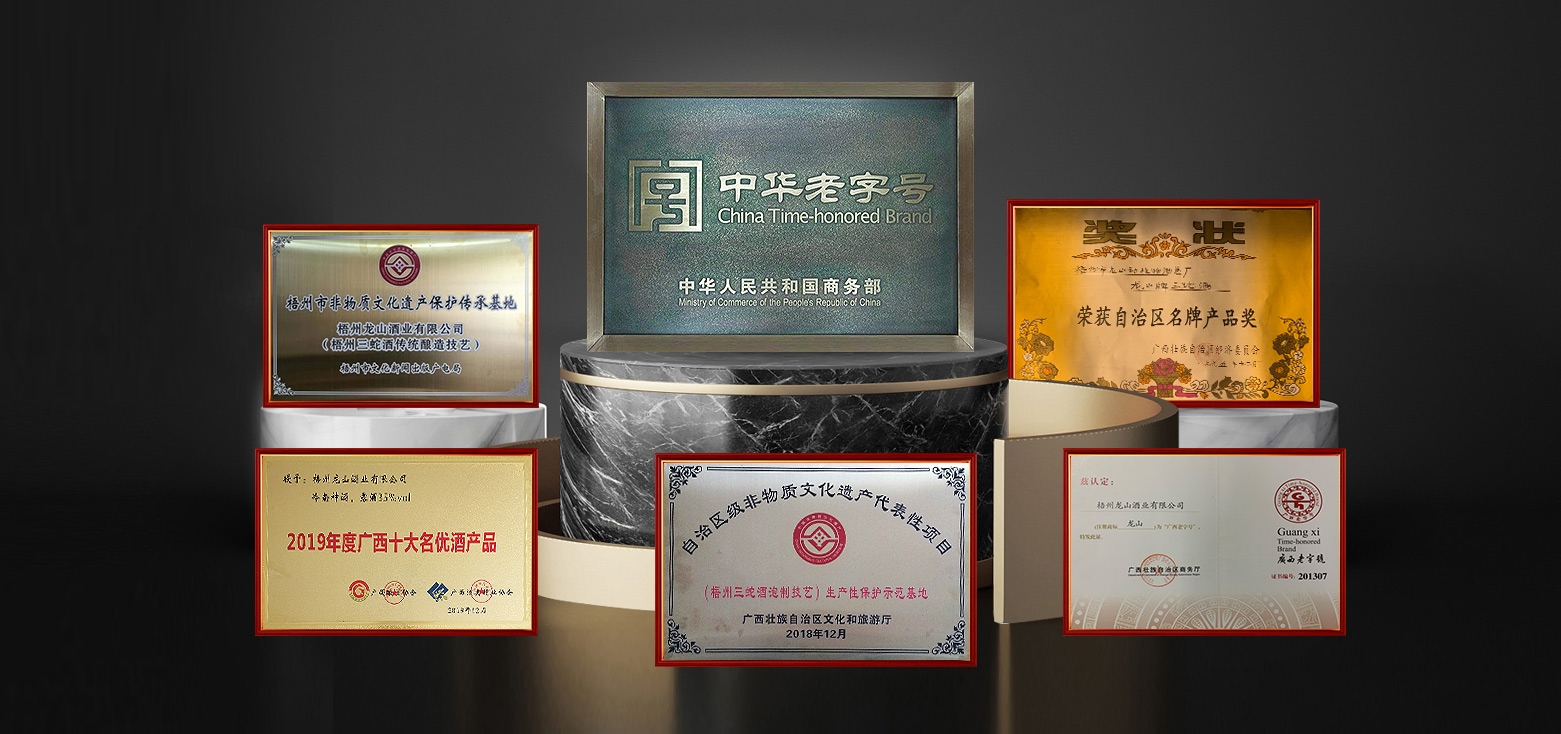 龍山酒業(yè)-85年品牌沉淀