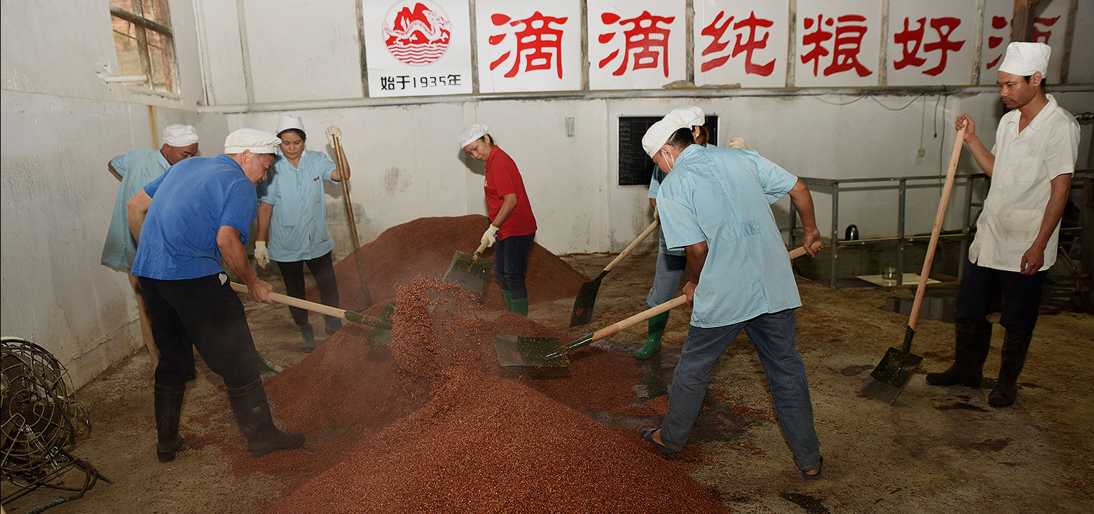 龍山酒業(yè)-傳統(tǒng)釀造工藝